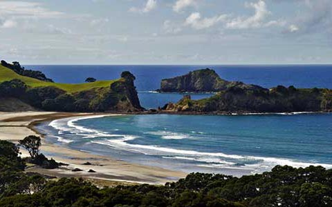 Flights To Great Barrier Island From North Shore Flights To Great Barrier Island From North Shore